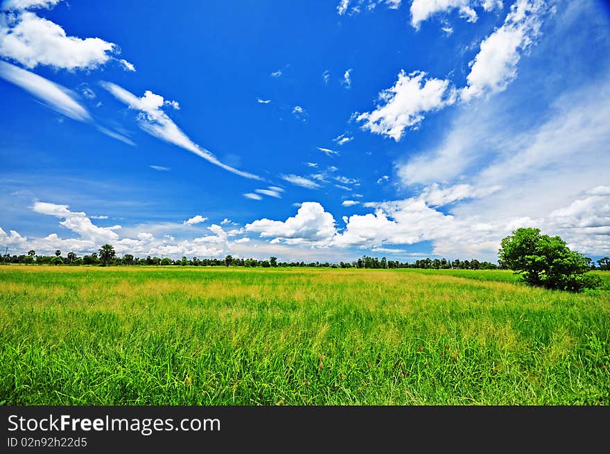 Green farm and blue sky at Phetchaburi, Thailand. Green farm and blue sky at Phetchaburi, Thailand