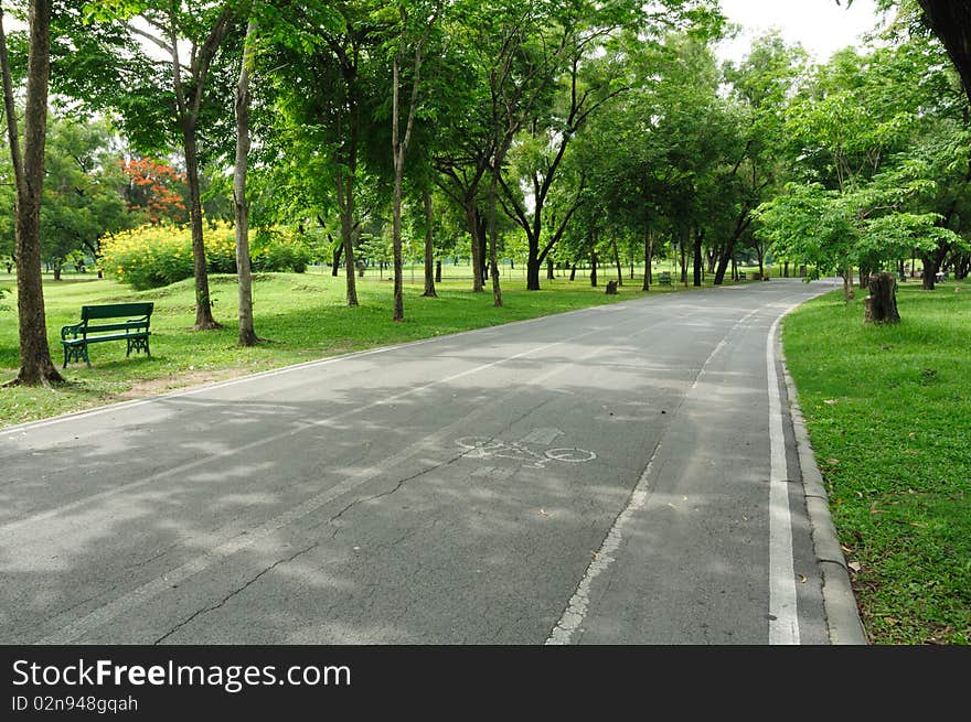 Running track and bycicle lane in the park.