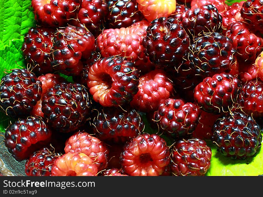 Red and purple raspberries