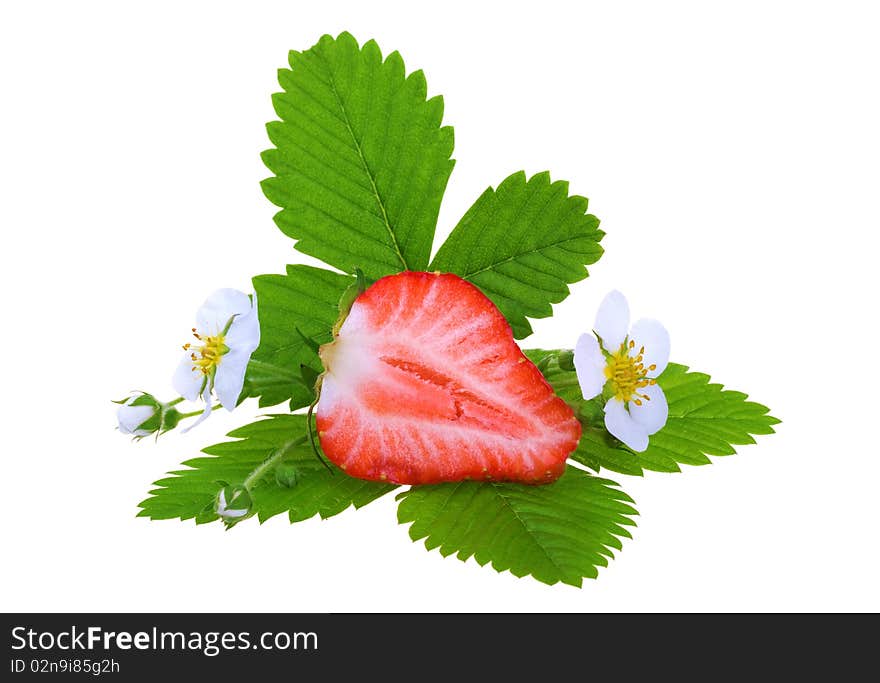 Fresh strawberry isolated on white background