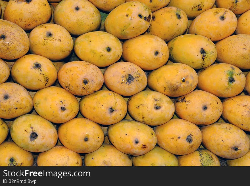 Freshly harvested mangoes for sale at a local market