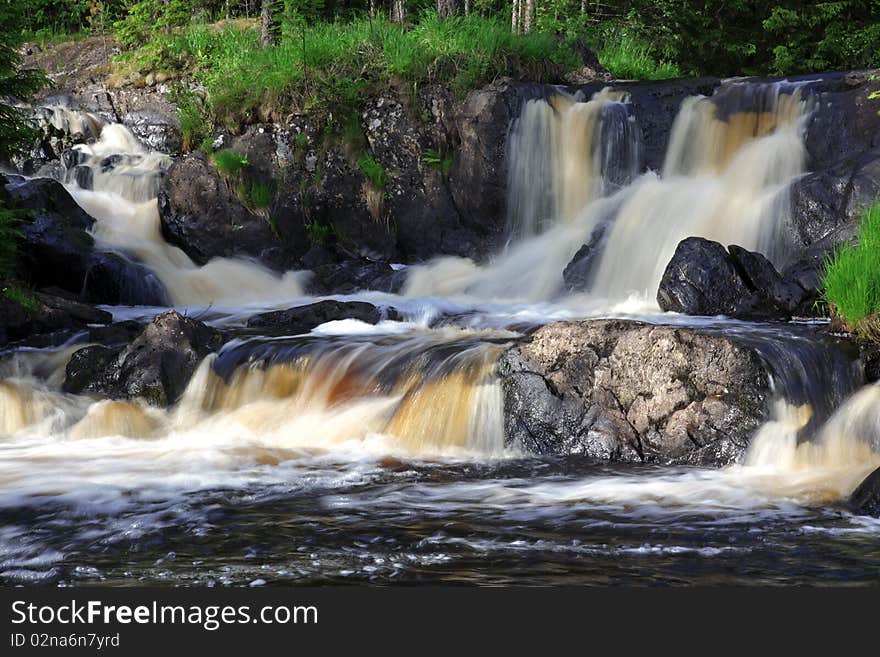 Forest waterfall