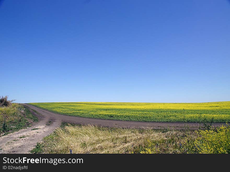 Road on field edge