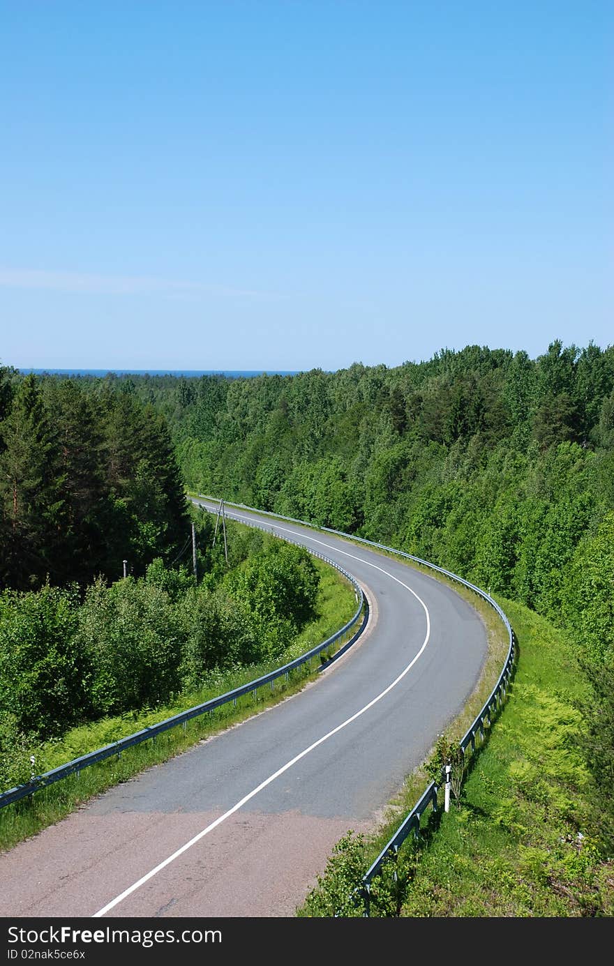 Winding tarmac road in forest. Winding tarmac road in forest