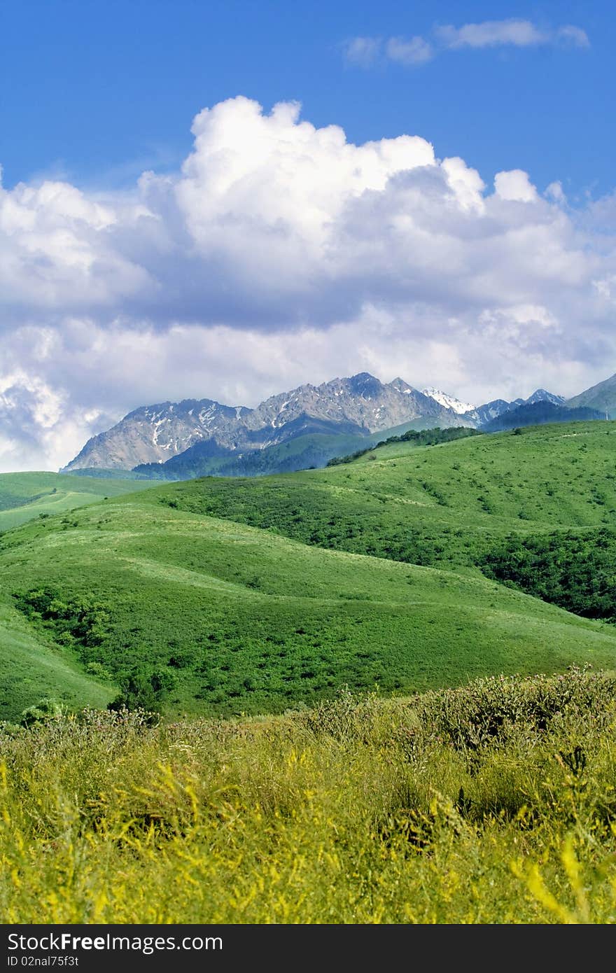 Green Hills and High mountains in the distance
colors: Blue, Green, Yellow. Green Hills and High mountains in the distance
colors: Blue, Green, Yellow