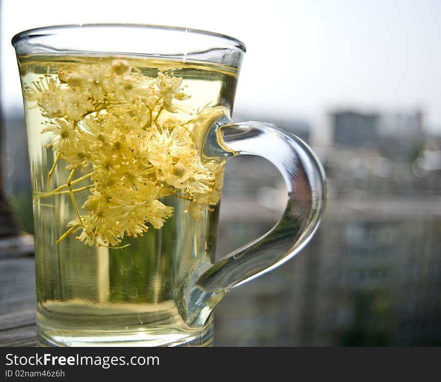 Fresh tea of lime blossom with an urban landscape in background. Fresh tea of lime blossom with an urban landscape in background