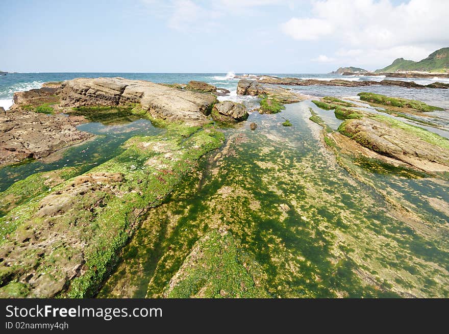 Rocks with green seaweeds at the coast