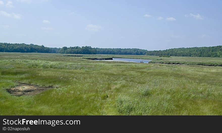 Marsh Landscape