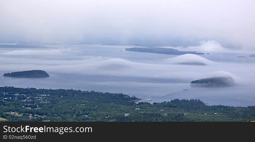 Foggy Coastline