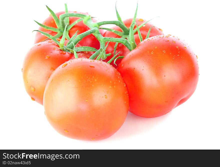 Fresh ripe red tomatoes isolated