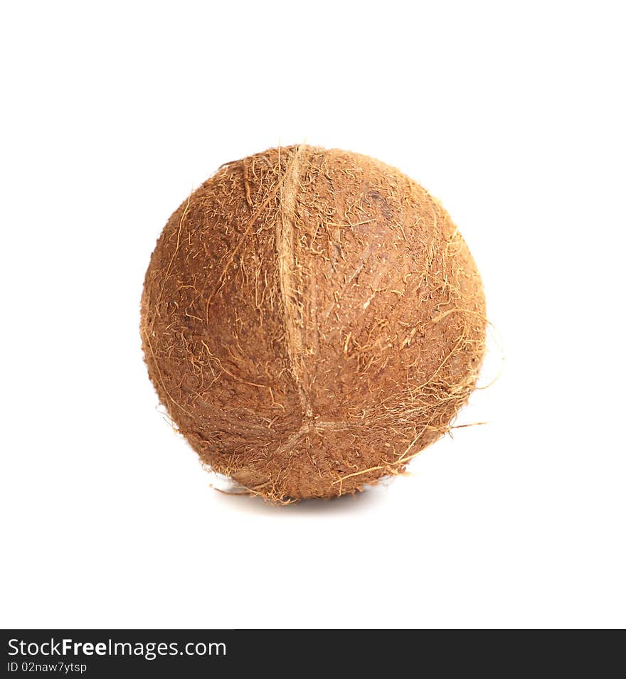 Coconut on white isolated background. Coconut on white isolated background