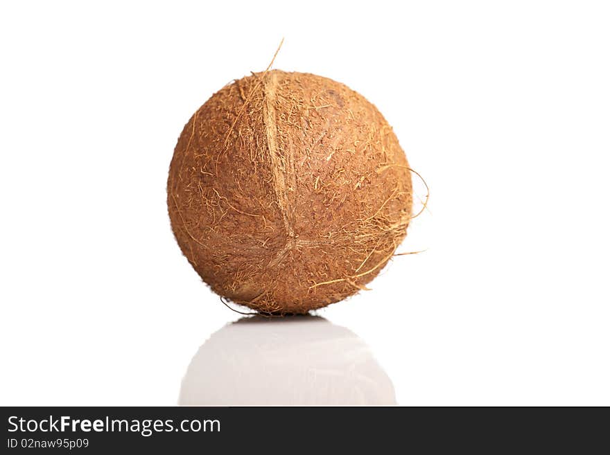 Coconut on white isolated background. Coconut on white isolated background