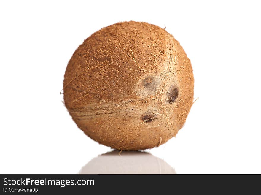 Coconut on white isolated background. Coconut on white isolated background