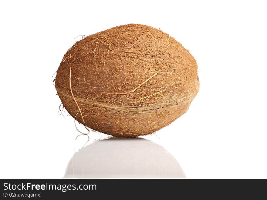 Coconut on white isolated background. Coconut on white isolated background