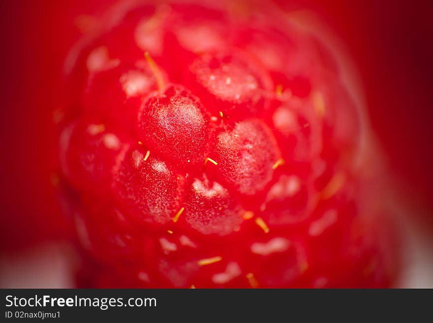 Ripe fresh rapberries