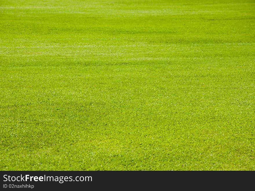 Grass of Bang Pa-in palace