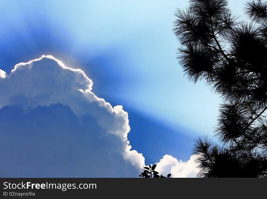 The blue sky and white cloud.