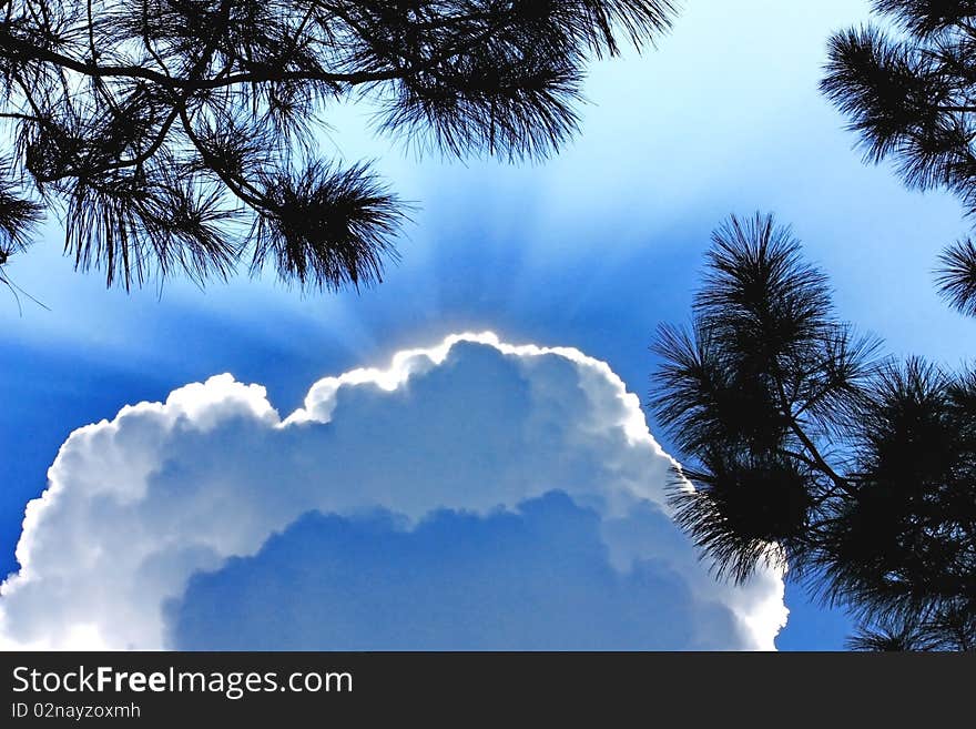 The blue sky and white cloud.