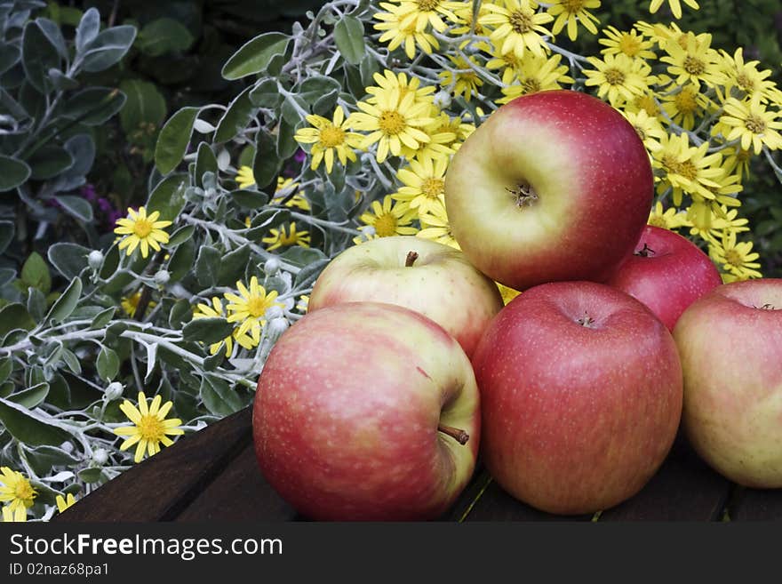 Apples on a wooden table in the garden. Apples on a wooden table in the garden