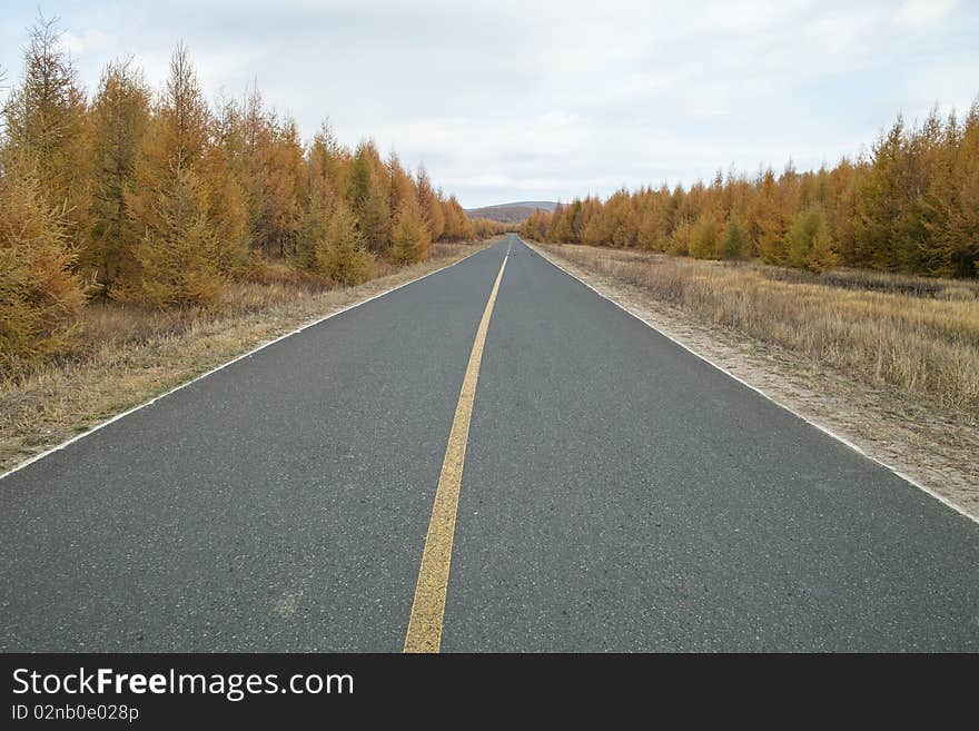 Rural road stretched far from the deep forest. Rural road stretched far from the deep forest.