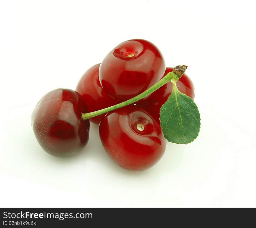 Fresh picked cherries still attached to their stem.