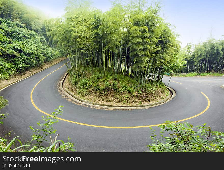 Bamboo and curved road in china