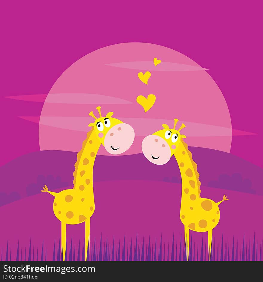 Two yellow african giraffes in love