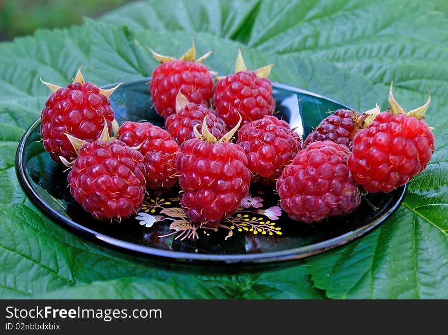 Ripe appetizing raspberry