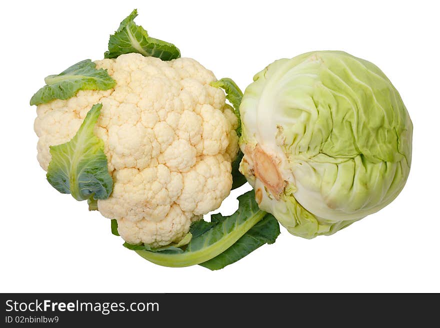 Cauliflower and Cabbage