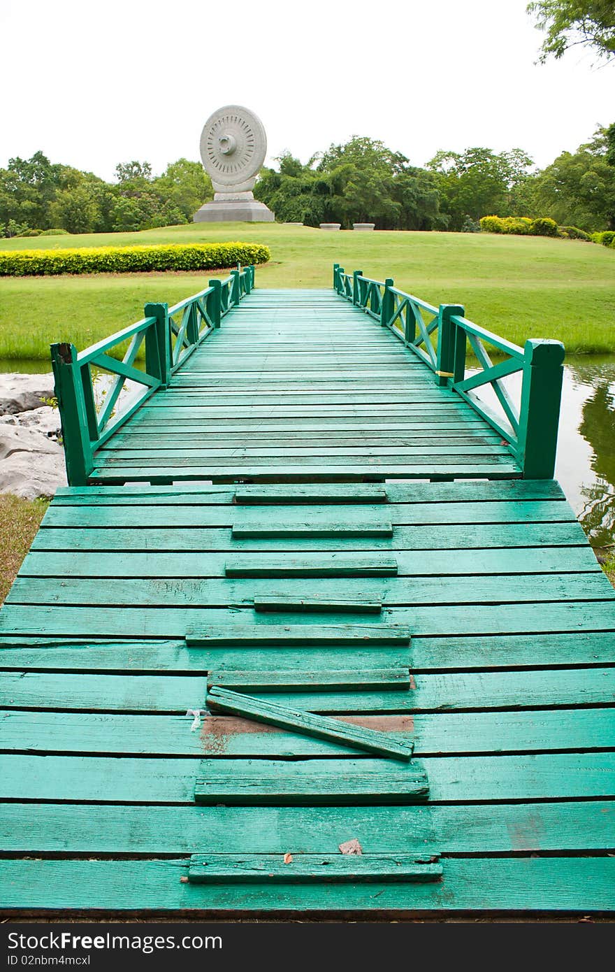 In the park,isolated on the background,green grass in the park. In the park,isolated on the background,green grass in the park