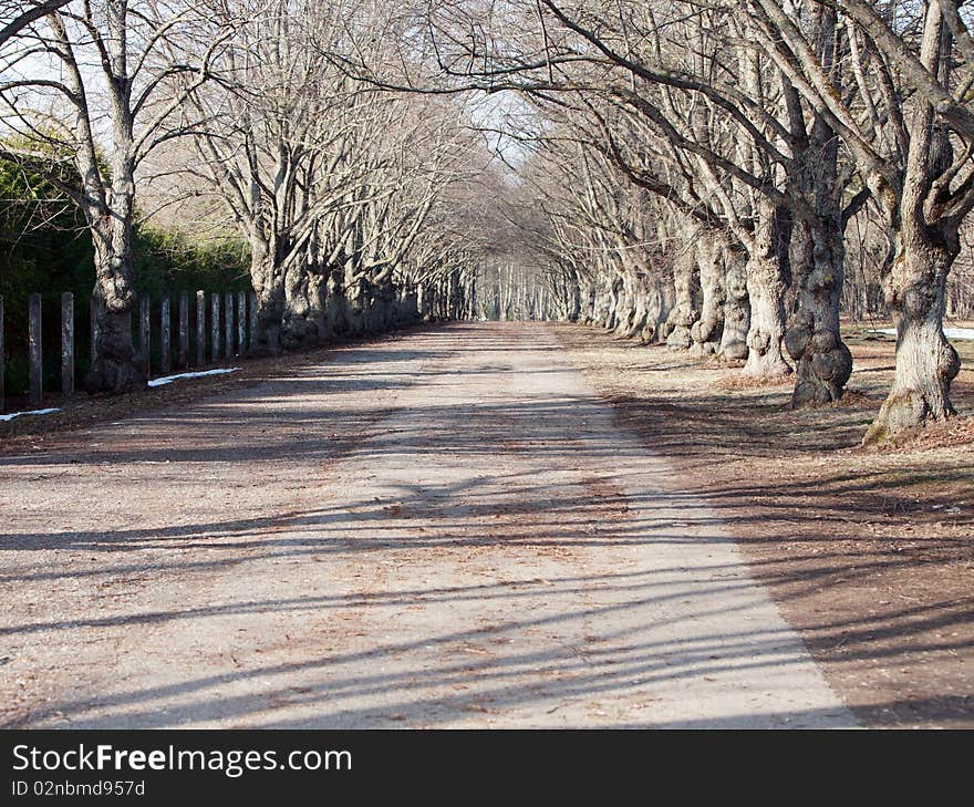 Road to park in Toila. Road to park in Toila