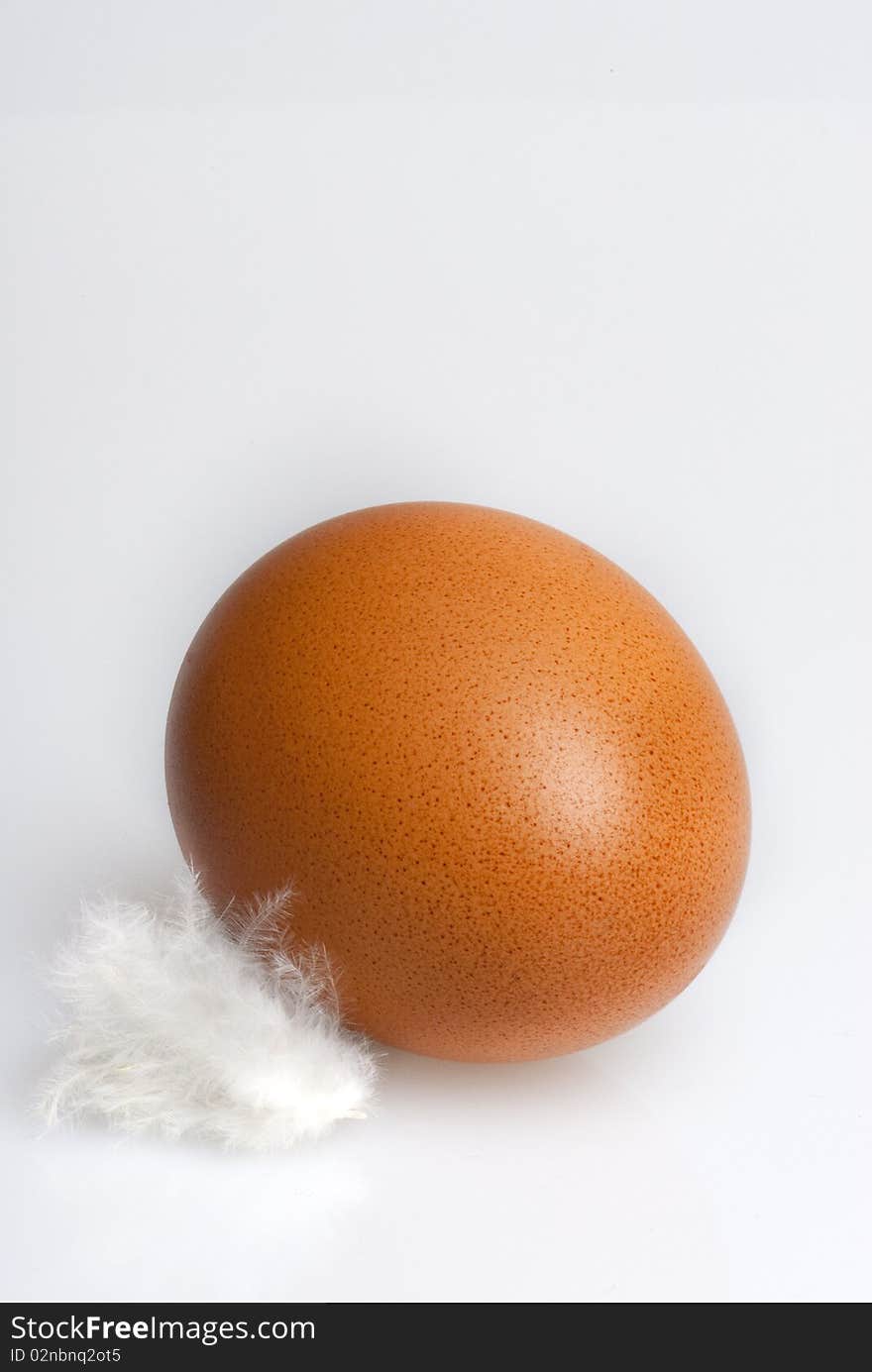 Brown Egg