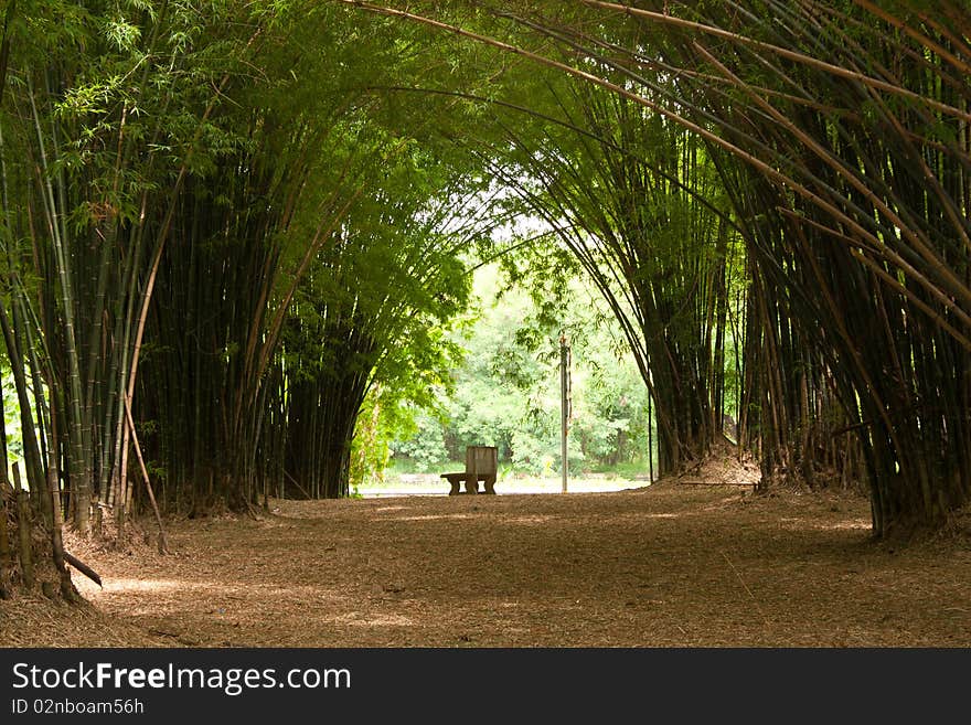 Bench and the bamboo