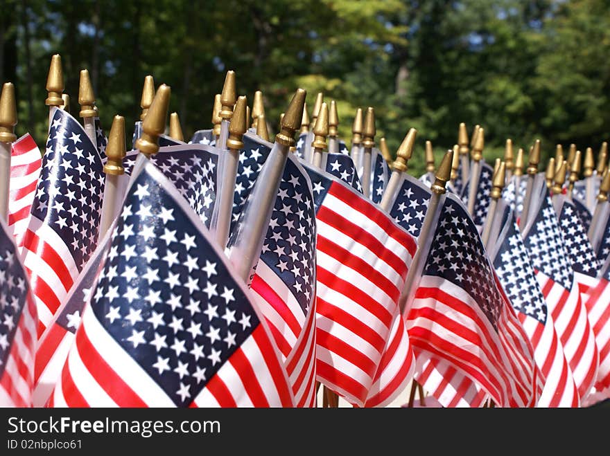 Dozens of small American flags in a close group.