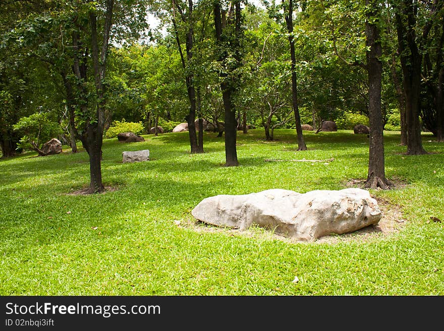 Stone on the green grass in the park,stone in the park