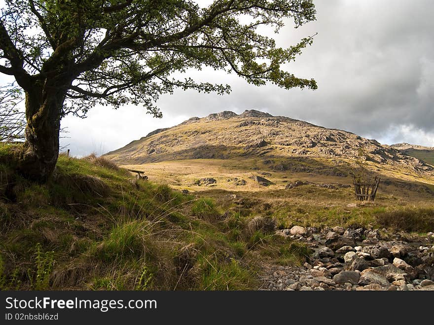 A landscape in the Lake District, England.