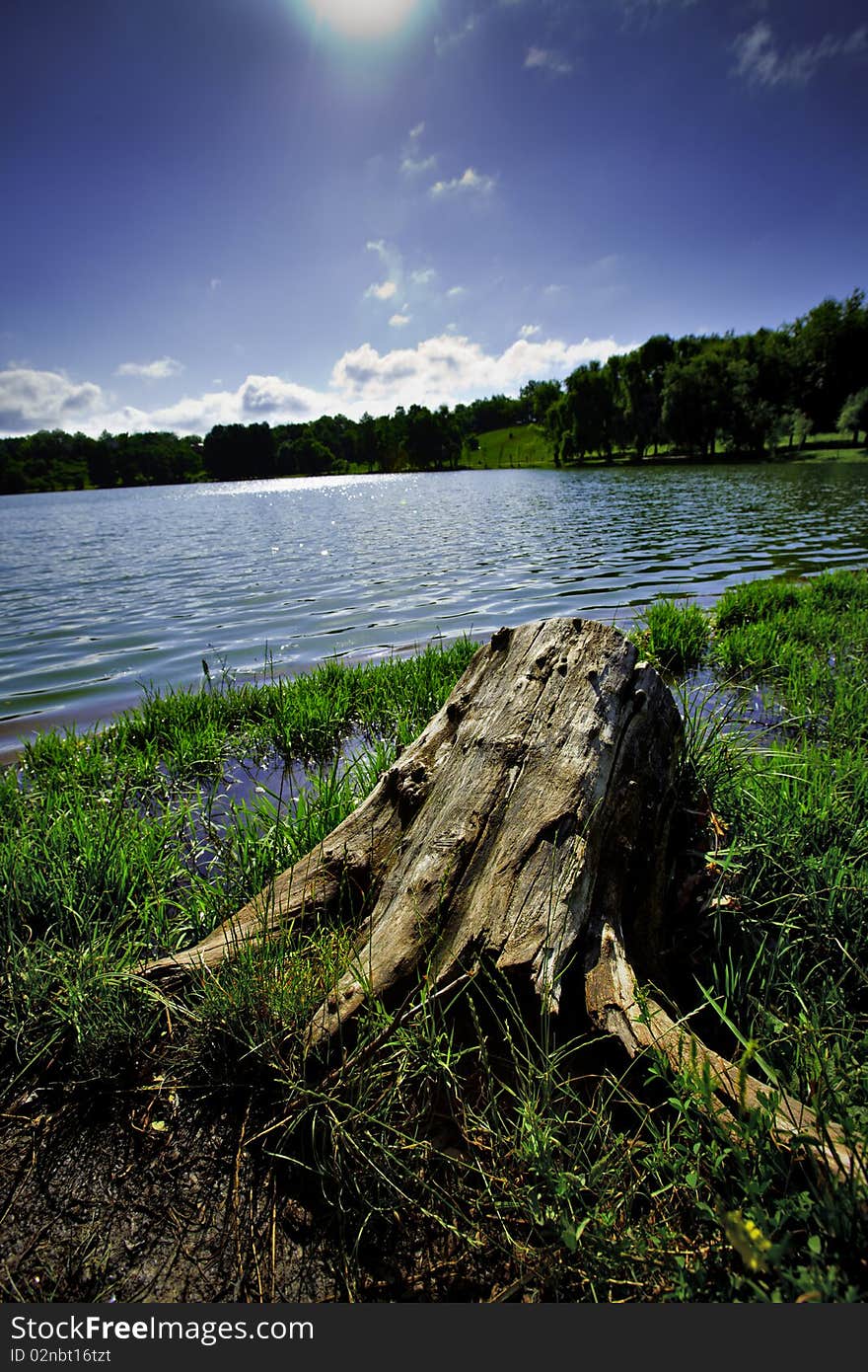 Landscape with an old trunk and a lake