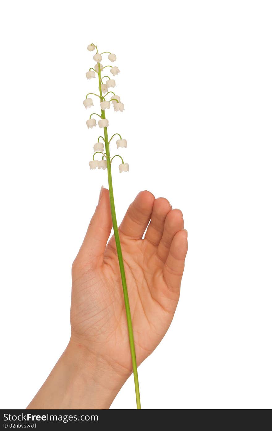 Woman holding lily of the valley in the hand