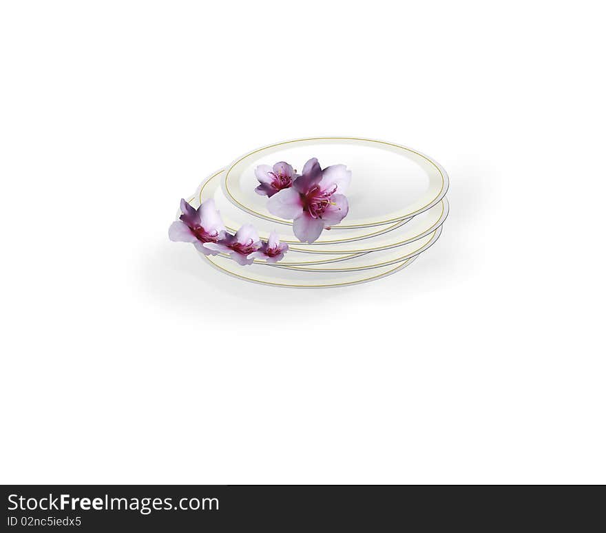 Set of china plates with a golden rim and orchid flowers, isolated. Set of china plates with a golden rim and orchid flowers, isolated