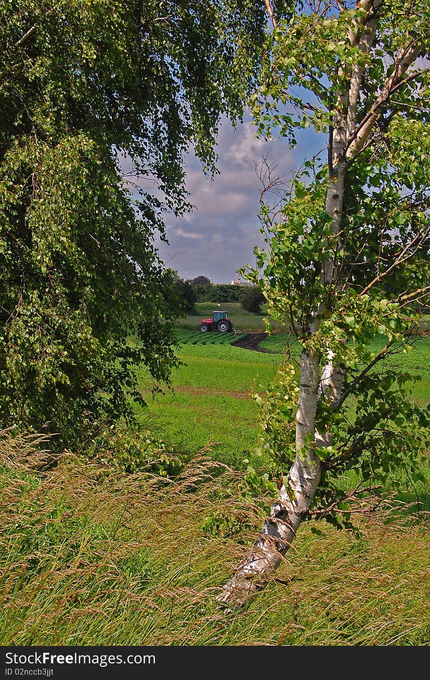 A tractor in a field on a  meadow in the idyllic English countryside. A tractor in a field on a  meadow in the idyllic English countryside