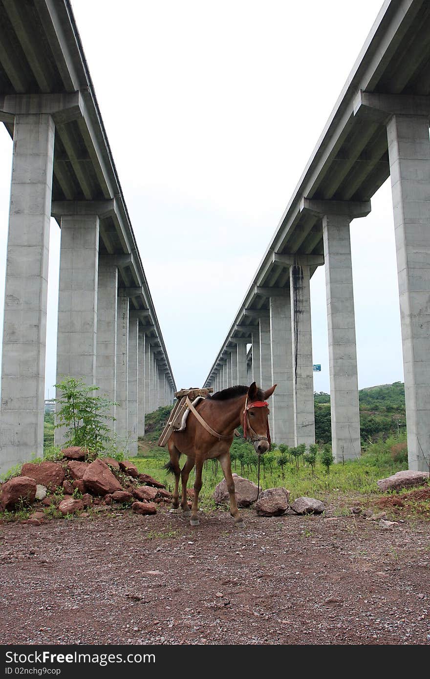 In the highway bridge, a break for moving the cargo is the donkey. In the highway bridge, a break for moving the cargo is the donkey.