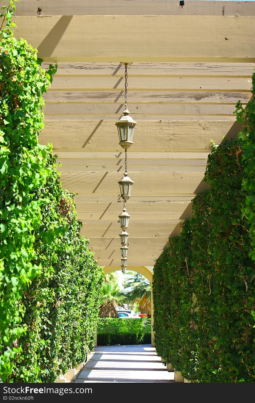 Outdoors corridor with plants on the sides and lights in the ceiling. Outdoors corridor with plants on the sides and lights in the ceiling.