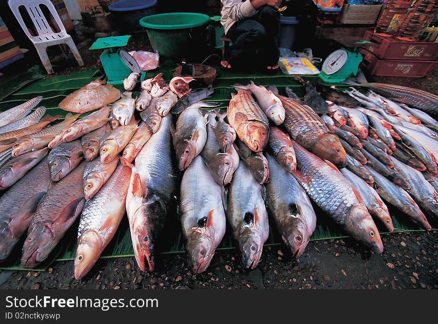 Local fish market at Thailand