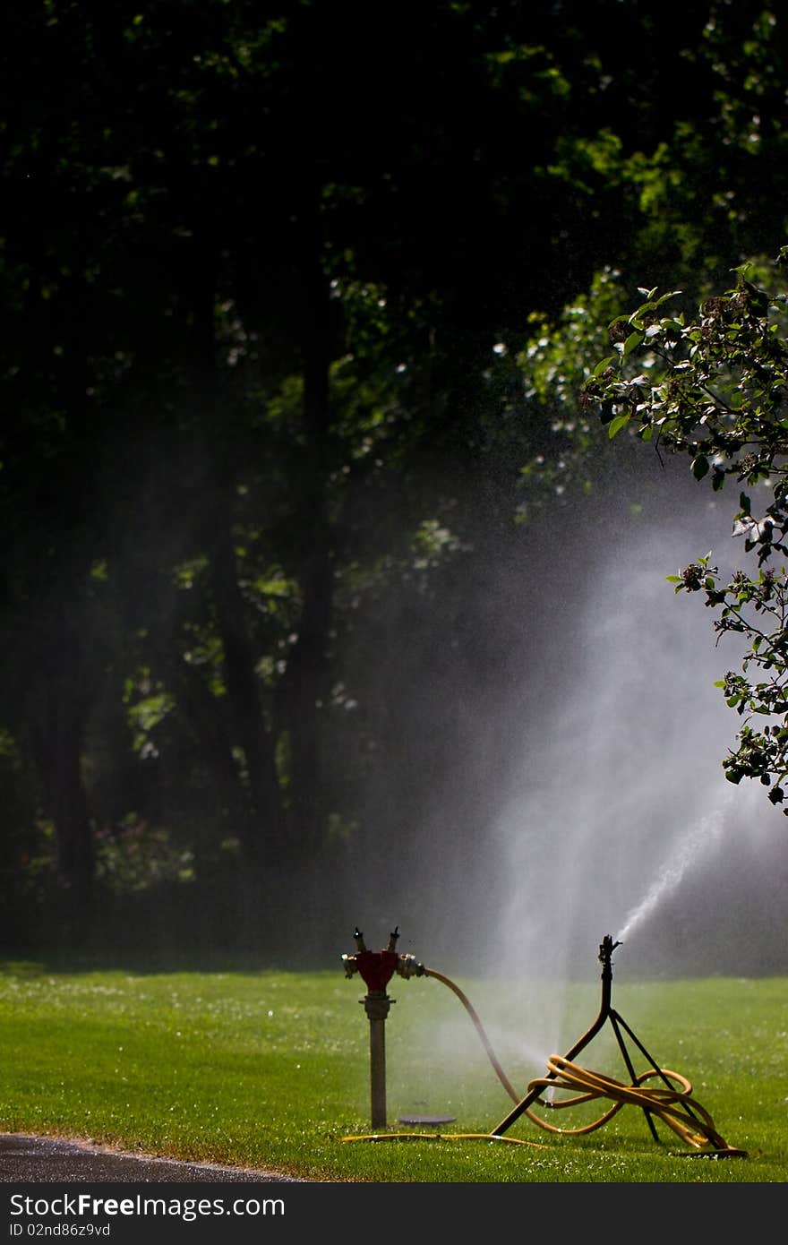 A sprinkler for a meadow