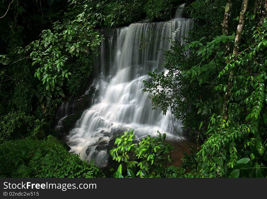 Waterfall in the rain forest