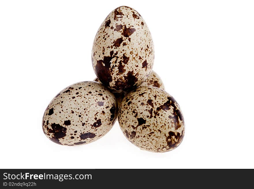 Quail egg