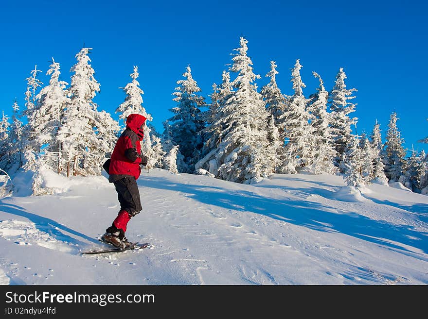 Hiker in winter in mountains