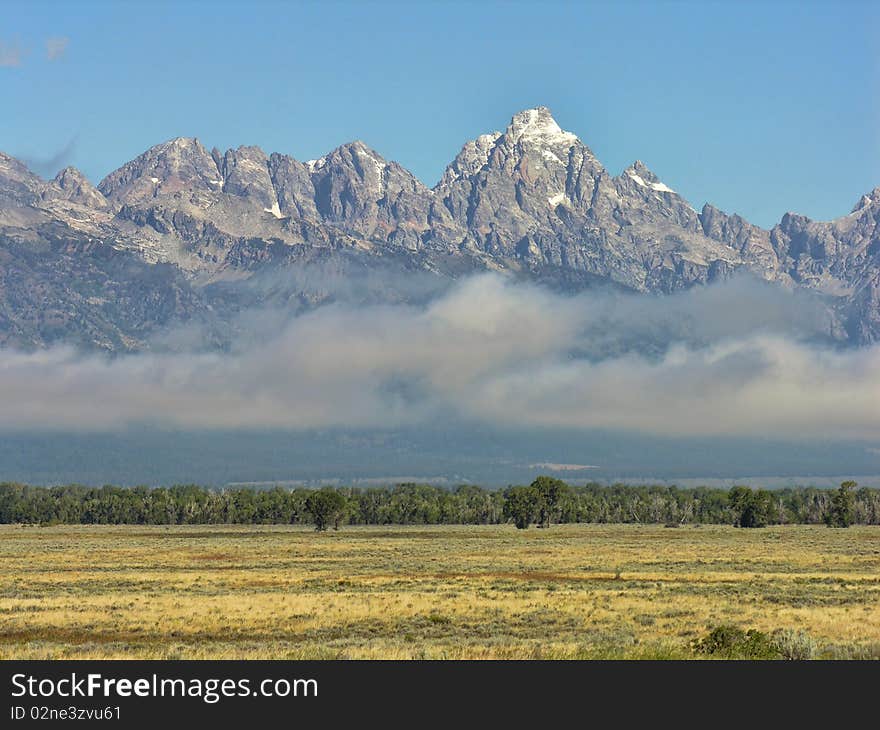 Nature of Grand Teton National Park, Wyoming