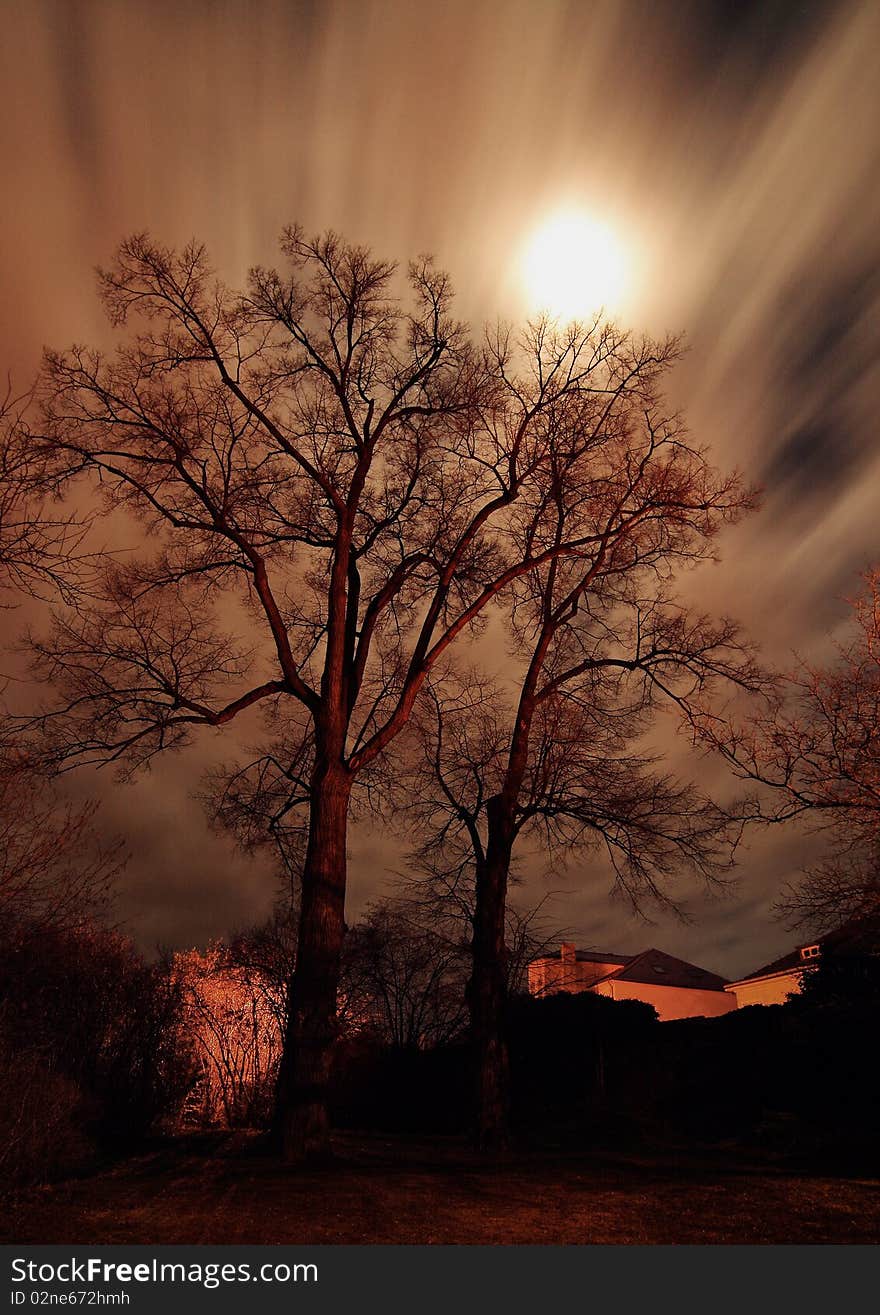 Autumn photo of a tree with blurry clouds, noise visible. Autumn photo of a tree with blurry clouds, noise visible