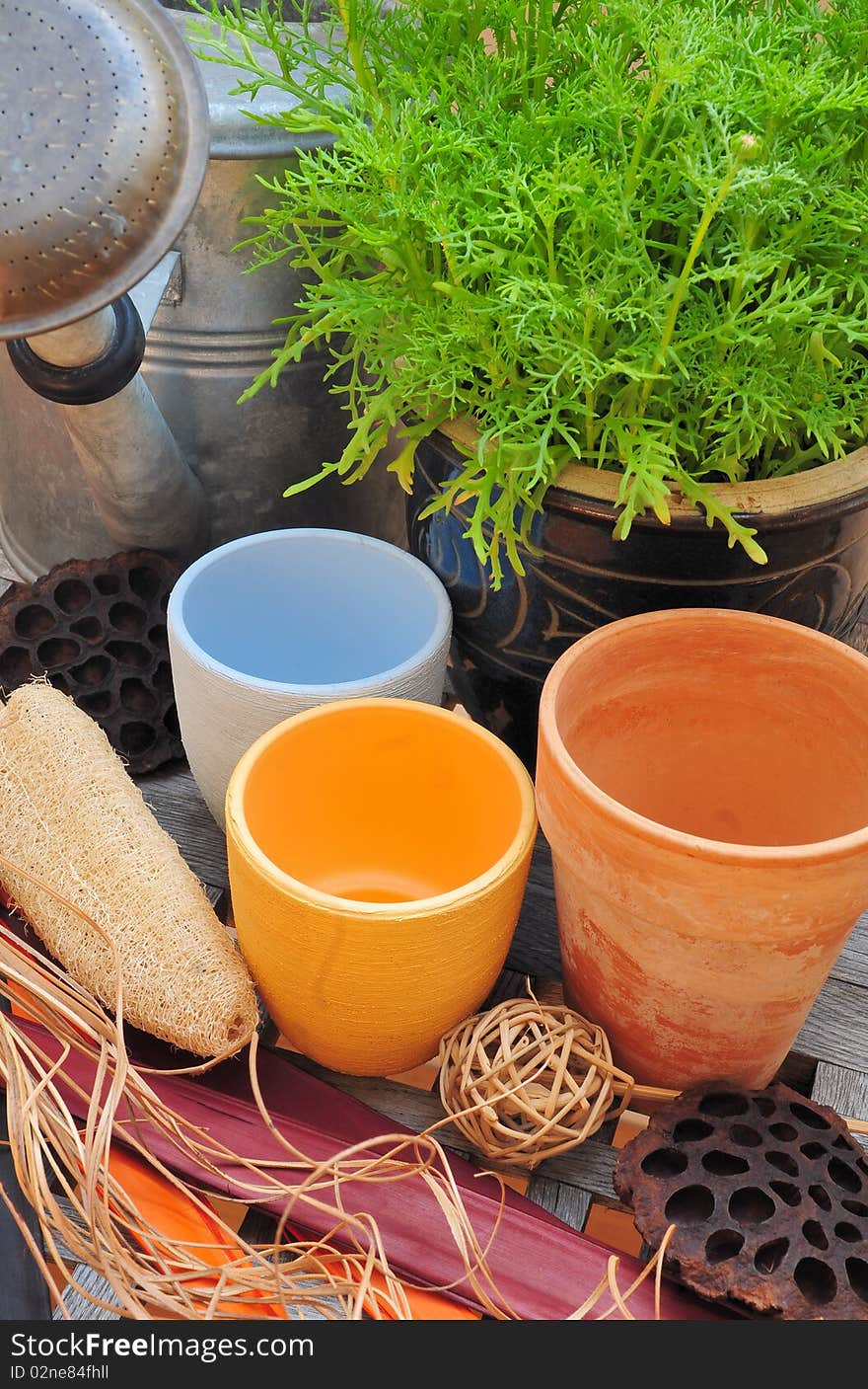 Plants, pottery and dry flowers on an old garden table. Plants, pottery and dry flowers on an old garden table